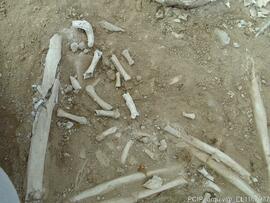 Sondagens  arqueológicas