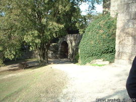 Fotografia 002