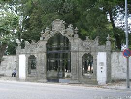 Fotografia 003