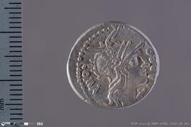 Denarius