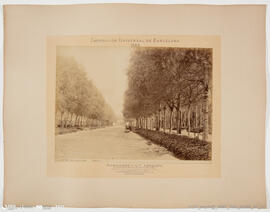 Fotografia - Documental / Histórica - Exposição Universal de Barcelona- 1888