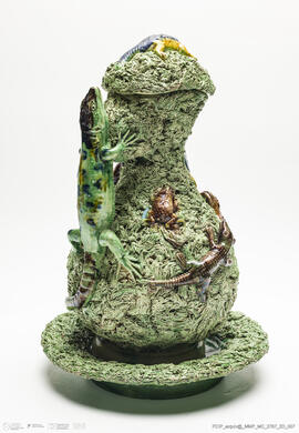 Jarro musgado Lagarto