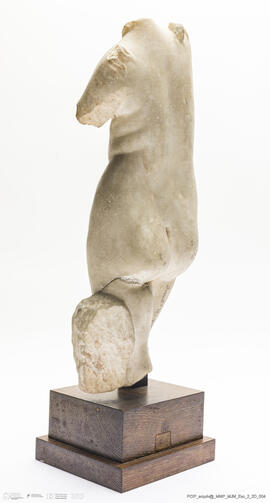 Torso de Mulher