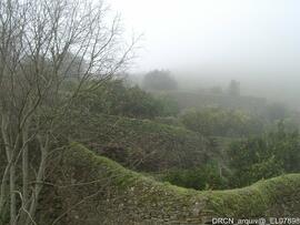Fotografia 008