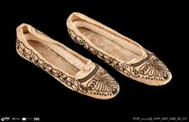 Sapatos (par)/Feminino