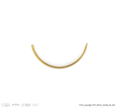 Open original Digital object