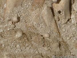 Sondagens  arqueológicas