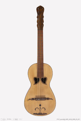 Viola da Terra