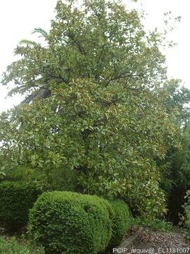 Fotografia do exterior do imovel