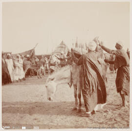 Álbum fotográfico - Viagem de Fev-Mai 1903 ao Mediterrâneo