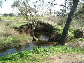 Fotografia 001