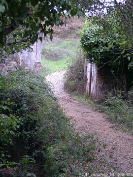 Fotografia 025