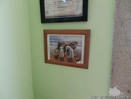 Fotografia