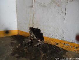 Fotografia 011