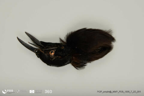 Open original Objeto digital