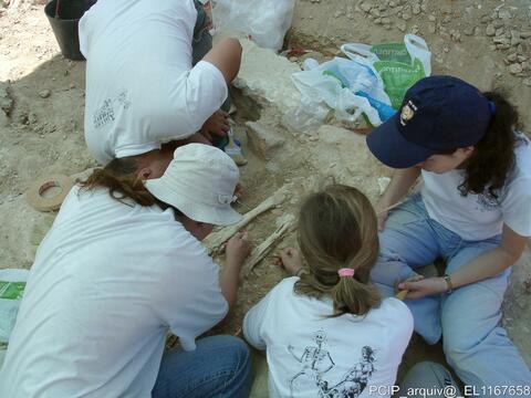 Open original Objeto digital