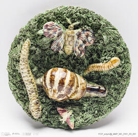 Prato musgado com bichos