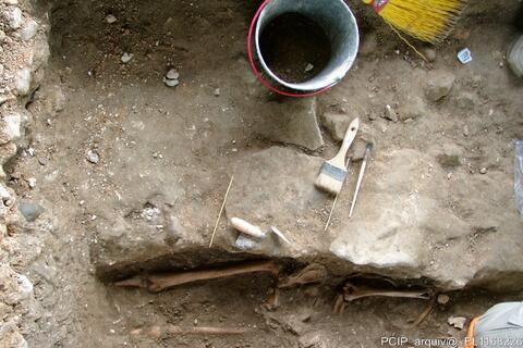 Open original Digital object