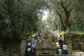 Fotografia 004