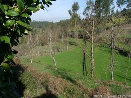 Fotografia 023