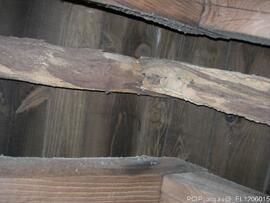 Fotografia (interior do imovel)