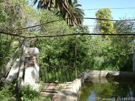 Fotografia 018