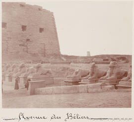 Álbum fotográfico - Viagem de Fev-Mai 1903 ao Mediterrâneo