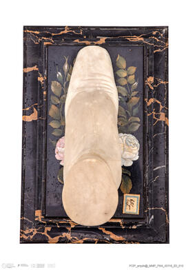 Pé da Rainha D. Maria Pia calçado com bota