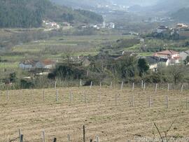 Fotografia 002
