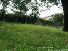 Fotografia 009