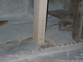Retábulo coro baixo - estrutura - restauro PR