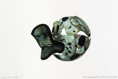 Open original Objeto digital