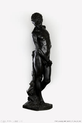 Narciso
