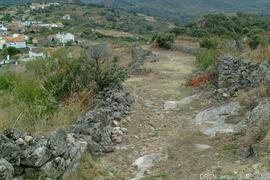 Fotografia 005