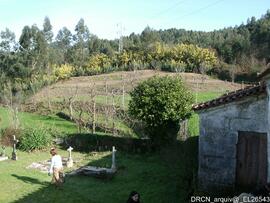 Fotografia 016
