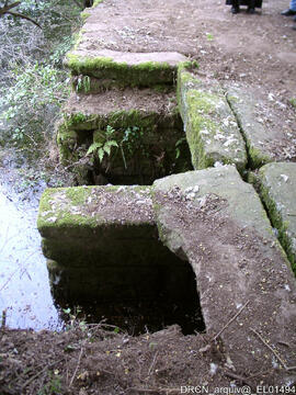 Fotografia 008