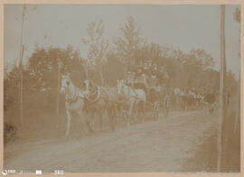 Álbum fotográfico - Passeios no Campo; saltos a cavalo; etc