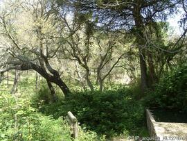 Imediações, área envolvente