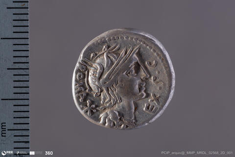 Open original Objeto digital