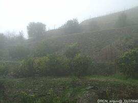 Fotografia 006