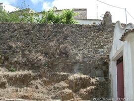 Fotografia 024