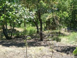 Fotografia 023