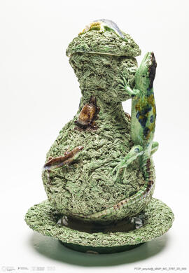 Jarro musgado Lagarto