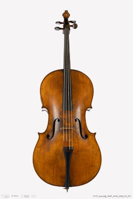 Violoncelo