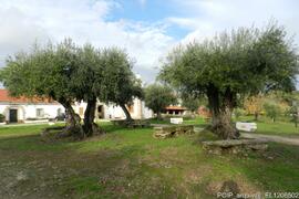 Fotografia (exterior)