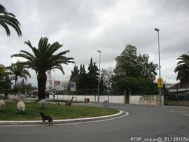 Fotografia 002