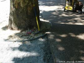 Fotografia 018