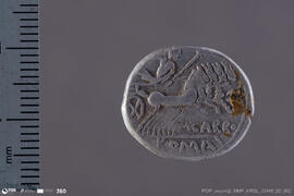 Denarius