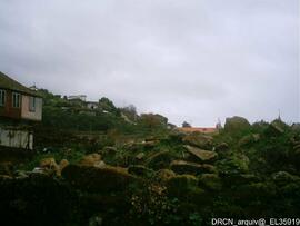 Fotografia 013