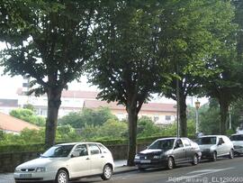 Imediações / Área envolvente